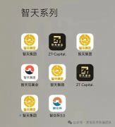 <b>个火爆的“虚拟货泉”项目都是</b>